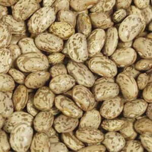 ??? ??? ? ? ??? 100% ??? ??? 11.3kg Bulk Peas And Beans Organic 100% Organic Pinto Beans