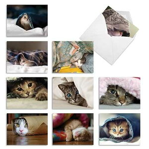 The Best Card Company - 10 Adorable Blank Cat Cards (4 x 5.12 Inch) - Cute Pet Kittens, Assorted Bulk Notecard Set - Cat You See Me Now M1543BN
