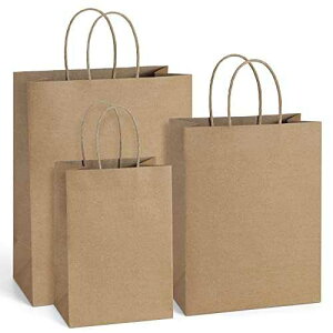 BagDream 75PCS Kraft Paper Bags 5x3x8, 8x4.25x10, 10x5x13 Gift Bags with Handles Bulk for Shopping, Retail, Merchandise, Recyclable Undecorated, Multi-Use Paper Sack