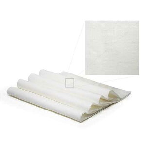 OCCASIONS FINEST PLASTIC TABLEWARE  OCCASIONS  - 240 Piece Pack - Premium 3 PLY - Wedding Party Dinner Paper Napkins (Square Fold)