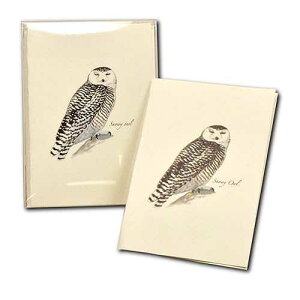 Earth Sky + Water - Orchid �m�[�g�J�[�h �Z�b�g - �����t���u�����N�J�[�h 8 �� Earth Sky + Water - Orchid Notecard Set - 8 Blank Cards with Envelopes