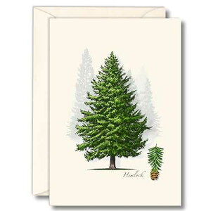 Earth Sky + Water - �w�����b�N �m�[�g�J�[�h �Z�b�g - �����t���u�����N�J�[�h 8 �� Earth Sky + Water - Hemlock Notecard Set - 8 Blank Cards with Envelopes