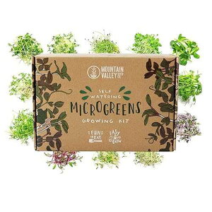 Mountain Valley Seed Company Self-Watering Indoor Microgreens Kit ? Complete Soil-Based Growing Set for Vegetable and Herb Microgreens ? Includes Black Sunflower, Pea Shoots, Swiss Chard, and Cilantro Seeds