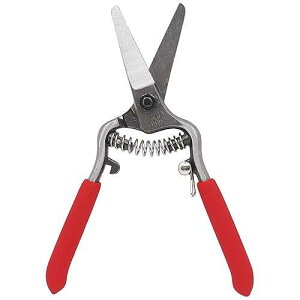 Zenport Z270 �j�[�h���m�[�Y�n�T�~�A�~�͂Ɨ��A�~�j 6 �C���`�b���X�g���[�g�u���[�h Zenport Z270 Needlenose Shear, Bonsai and Orchids, Mini 6-Inch Forged Straight Blade