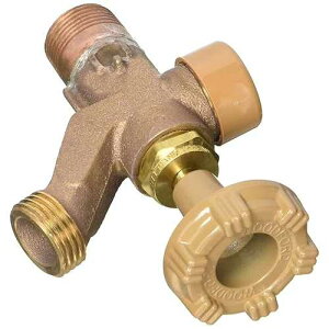 Woodford 101P Anti-Siphon Wall Faucet Combination Inlet
