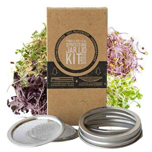 Trellis + Co. | Stainless Steel Sprouting Kit, 2 Pack | Rust Proof 316 Stainless, Curved Mesh, Fits Most Wide Mouth Mason Jars | Grow Your Own Organic Sprouts from Seeds, Sprouter