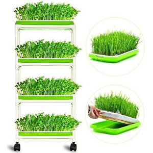 LeJoy Garden 4 Layers Sprout Trays with Extra Strength Plastic Shelf Soil-Free Healthy Wheatgrass Seeds Grower & Storage Trays for Garden Home Office