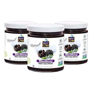 �m�� World of Chia Extra Fruit Chia Seeds Jam - Blackberry Jams and Preserves ? All Natural Super Food Chia Jam, Gluten Free, Vegan, Additive Free, Low Sugar, Omega 3, Non-GMO, Made in USA Fruit Spread - (10.6