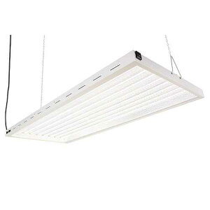 LumiaStar 4X2Ft 200W LED Grow Lights with 5500K White Spectrum and Over 2.0 PPF/W and 40000 Lumens Great for Retrofit T5 4Ft 8 Lamp Fluo Grow Lights or 400W MH Grow Hood