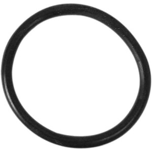 General Foam Plastics Summer Escapes 1-1/4 inch Hose O-Ring