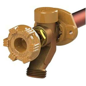 Woodford 17PX-8-MH Model 17 Wall Faucet, 8-Inch, 1/2 PX Inlet, Metal Handle, Yellow