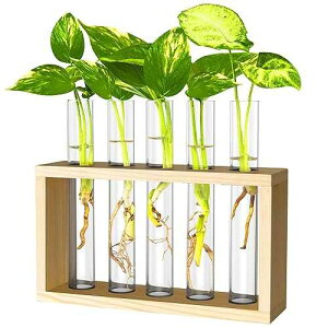 IVOLADOR I Propagation Station, Plants Terrarium, Plants Lover Gifts for Women,Plant Cutting Holder Home decor,Gifts for Women,House Warming New Home-5 Tubes-Beige