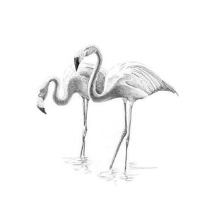OMNIA Brush Royal Brush Sketching Made Easy Flamingoes Mini Kit, 5 by 7