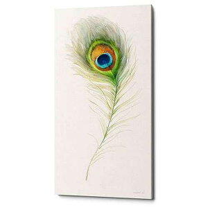 Epic Graffiti 'Jaipur X' by Danhui Nai, Canvas Wall Art, 20x40