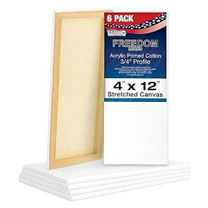 U.S. Art Supply 4 x 12 inch Stretched Canvas for Painting, 12oz Triple Primed, 6-Pack - Professional Artist Quality White Blank 3/4 Profile, 100% Cotton, Heavy-Weight Gesso - Acrylic Pouring, Oil