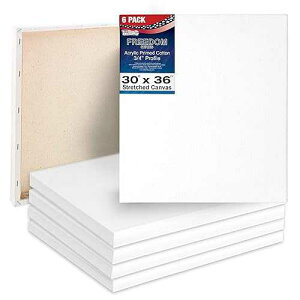 U.S. Art Supply 30 x 36 inch Stretched Canvas 12-Ounce Triple Primed, 6-Pack - Professional Artist Quality White Blank 3/4 Profile, 100% Cotton, Heavy-Weight Gesso - Acrylic Pouring, Oil Painting