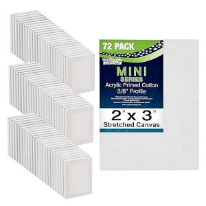 U.S. Art Supply 2x3 Mini Canvases for Painting, 72 Pack Bulk Small Stretched Artist Canvas Professional Primed - Ideal for Arts & Crafts