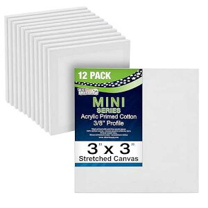 U.S. Art Supply 3x3 Mini Canvases for Painting, 12 Pack Bulk Small Stretched Artist Canvas Professional Primed - Ideal for Arts & Crafts