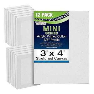 U.S. Art Supply 3x4 Mini Canvases for Painting, 12 Pack Bulk Small Stretched Artist Canvas Professional Primed - Ideal for Arts & Crafts