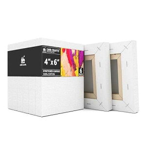 LWR CRAFTS �X�g���b�`�L�����o�X 4�C���` x 6�C���` 6���p�b�N LWR CRAFTS Stretched Canvas 4 X 6 Pack of 6