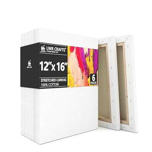 LWR CRAFTS �X�g���b�`�L�����o�X 12�C���` x 16�C���` 6���p�b�N LWR CRAFTS Stretched Canvas 12 X 16 Pack of 6
