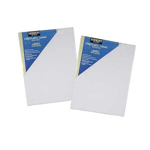 Sargent Art 90-2050 Value Pack, 8 X 10 Stretched Canvas Pack of 2