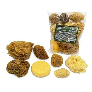 Lullingworth Natural Sea & Synthetic Sponges - Assorted Sizes 7pc Value Pack for Crafts & Artists: Great for Painting, Acrylic Texturing, Hobbies, Art, Effects, Ceramics, Clay, Pottery