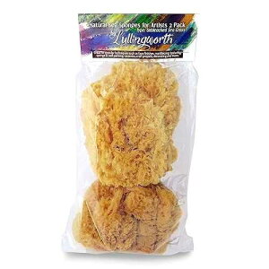 Lullingworth Natural Sea Sponges for Artists - Unbleached 5-5.5 2pc Value Pk - Perfect Size Painting Decorating Texturing Drywall Marbling Faux Finishes Arts Crafts Venetian Plaster Limestone Walls