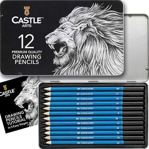 Castle Art Supplies 12 Piece Graphite Drawing Pencils Kit for Adult Artists Beginners and Advanced Presented in Attractive, Compact, Sturdy Metal Case with Tutorial