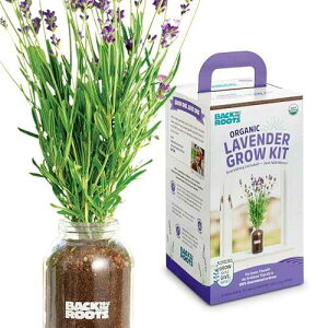 Back to The Roots Windowsill Planter: Lavender