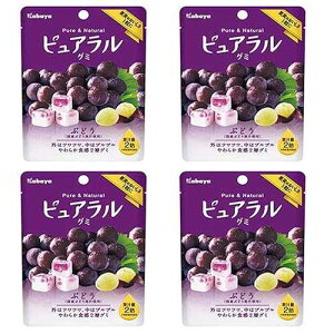 Pureral Gumi Grape Taste 1.6oz 4pcs Japanese Gummy Candy Kabaya Ninjapo