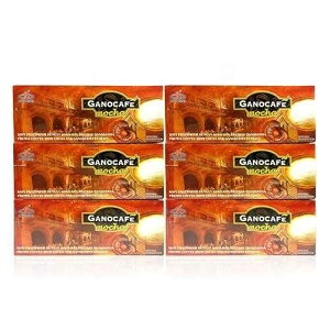 6�� - GANO CAFE ���J�R�[�q�[ WITH GANODERMA �w���V�[�R�[�q�[ (90��/6��) GANO EXCEL INTERNATIONAL 6 Boxes - GANO CAFE Mocha COFFEE WITH GANODERMA HEALTHY COFFEE (90 Sachets/6 BOXES)