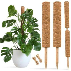JOYSEUS 30 Inch Moss Pole for Climbing Plants - 2 Pack 15 Inch Coir Totem Pole Plant Support with 65 Feet Garden Twist Tie for Monstera and Potted Plants to Grow Upwards