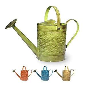 Robert Allen Home & Garden MPT01500 Wexley Metal Watering Can, 2 Gallon, Tansy Green