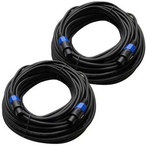 Seismic Audio - TW12S100 (2 �p�b�N) - 100 �t�B�[�g �X�s�R�� - �X�s�R�� PA/DJ �X�s�[�J�[ �P�[�u�� - 2 ���� - 12 �Q�[�W Seismic Audio - TW12S100 (Pack of 2) - 100 Foot Speakon to Speakon PA/DJ Speaker Cable - 2 C