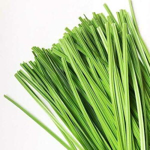 VIMOA Garden Twist Tie Plant Ties Stripes 200 pcs 6 inches for Plants, Vines and Wrapping Cords or Christmas tree