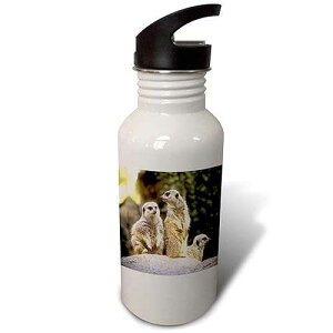 3dRose �E�H�[�^�[�{�g���A21�I���X�A�z���C�g 3dRose Bob They are staring at us again. Act natural Flip Straw 21oz Water Bottle