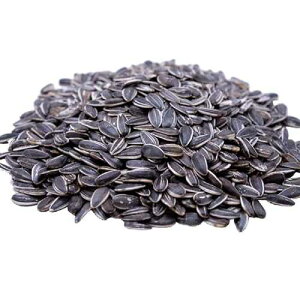 Gerbs Roasted Unsalted Whole Sunflower Seeds 1 lb. | Small Batch, No Artificial Additives, Resealable Bag | Crack-and-Eat Crunchy Snack | Top 14 Allergen-Free
