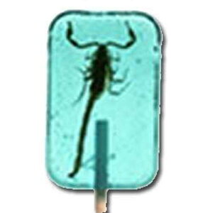 �X�R�[�s�I���T�b�J�[ - �u���[�x���[ Hotlix Scorpion Sucker- Blueberry