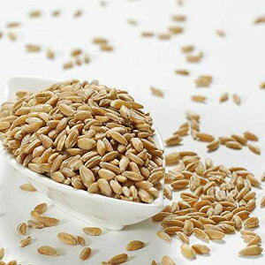 Farro - �Ė����\�ȃo�b�O 1 �� - 14 �I���X Gourmet Imports Farro - 1 resealable bag - 14 oz