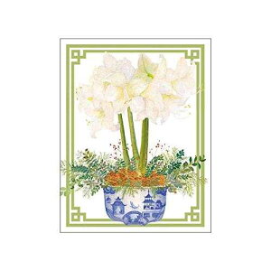 Caspari ���A���A�}�����X �M�t�g�����J�[�h ���� - 20�� �����t�� Caspari Potted Amaryllis Gift Enclosure Cards in Gold Foil - 20 with Envelopes