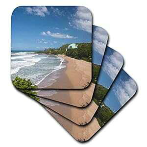 3dRose �v�G���g���R�A���C�݁A�����R���A�h�[���Y �r�[�`-CA27 WBI0208 �E�H���^�[ �r�r�R�E �\�t�g �R�[�X�^�[ (4 �Z�b�g) 3dRose Puerto Rico, West Coast, Rincon, Domes Beach-CA27 WBI0208 Walter Bibikow Soft Coasters