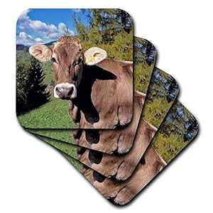 3dRose CST_82188_1 Italy, Dolomite Alps, Swiss Brown Cow-Eu16 Rer0140-Ric Ergenbright-Soft Coasters, Set of 4