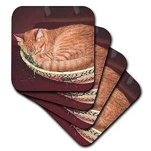 3dRose CST_83708_1 C[X^[ oXPbg̒ŖĂIWF̃gL-Na02 Csl0214-Charles Sleicher-\tg R[X^[A4 Zbg 3dRose CST_83708_1 Orange Tabby Cat Asleep in an Easter Basket-Na02 Csl0214-Charl