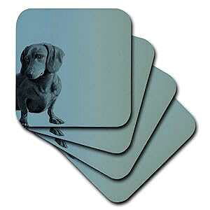 3dRose CST_130560_1 炵_Vg  ybg  \tg R[X^[ 4 Zbg 3dRose CST_130560_1 Adorable Daschund Dog Pets Animals Soft Coasters, Set of 4