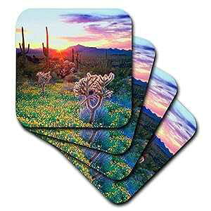3dRose CST_206299_2 USA, Arizona, Wildflowers & Cacti at Sunset in Organ Pipe Cactus NP Soft Coaster (Set of 8)