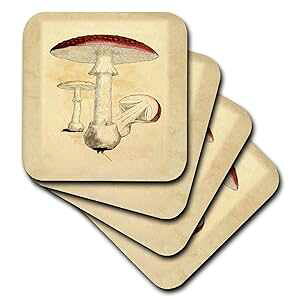 ÂAw̖{̐ԂBe[WLmR 3dRose C[W - Z~bN ^C R[X^[A4 Zbg (CST_223063_3) 3dRose Image of Red Vintage Mushroom from Old Botany Book - Ceramic Tile Coasters, Set of 4 (