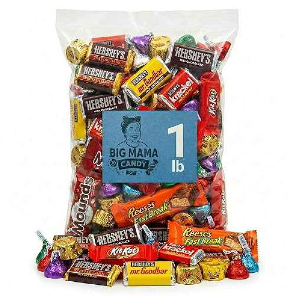 Big Mama Candy Chocolate Variety Pack 1 lb - Bulk Individually Wrapped Assorted Chocolates Party Favors & Goodie Bags, Father's Day - Ice Pack Included
