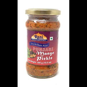 j pWr sNX zbg (A`[AXpCV[ȃCh̃bV) 10.5IX (300g) ~ KXrAI[i` r[K Oet[ `qg݊ FȂ Ch