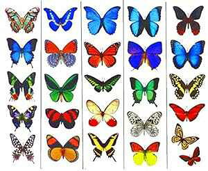 JtȈꎞIȒ̃^gD[ - 5  - Butterfly Utopia Colorful Temporary Butterfly Tattoos - 5 Sheets - by Butterfly Utopia